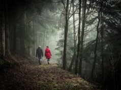 Taylor Swift Wins 2017 Grammys Album of the Year